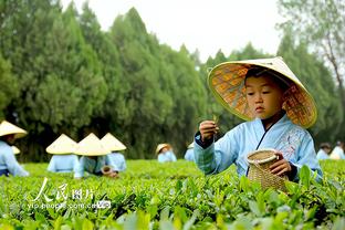 开云官方入口官网首页登录